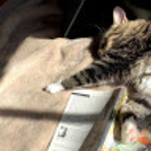 Meet your Posher, Ella